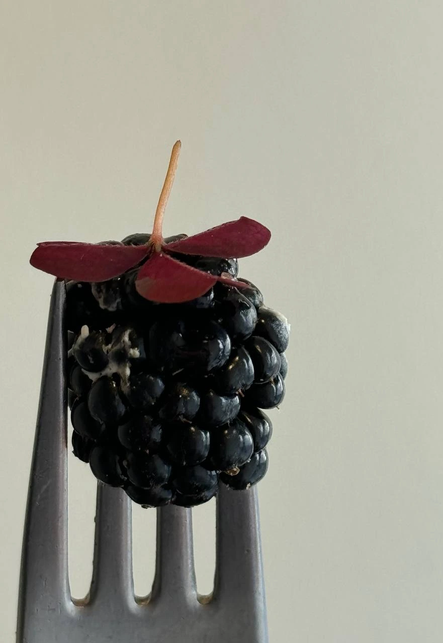 Amoras equilibradas num garfo